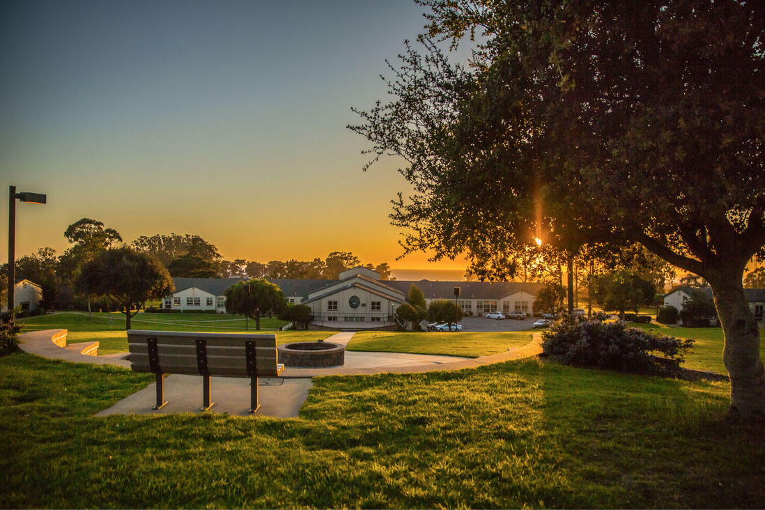 Vete and travel Campus sunset