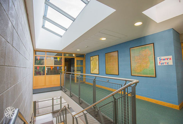 Estudia un curso en Dublin