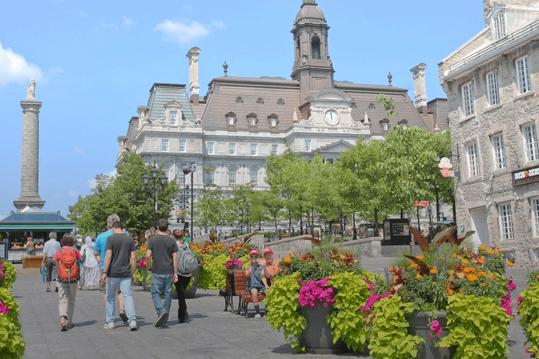 Greystone College(Montreal)-VETE Eduacation And Travel