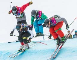 preparatoria vete education and travel