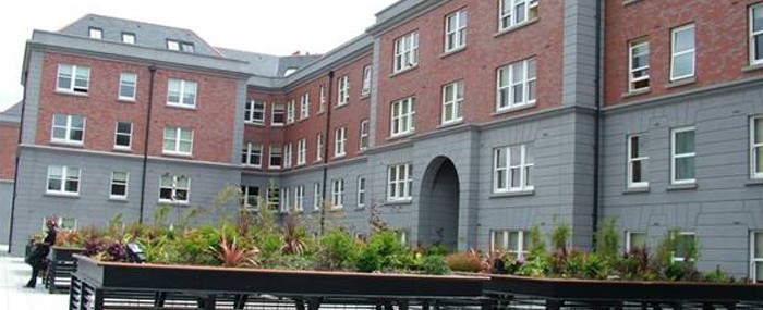 Estudia y trabaja en Griffith College Limerick