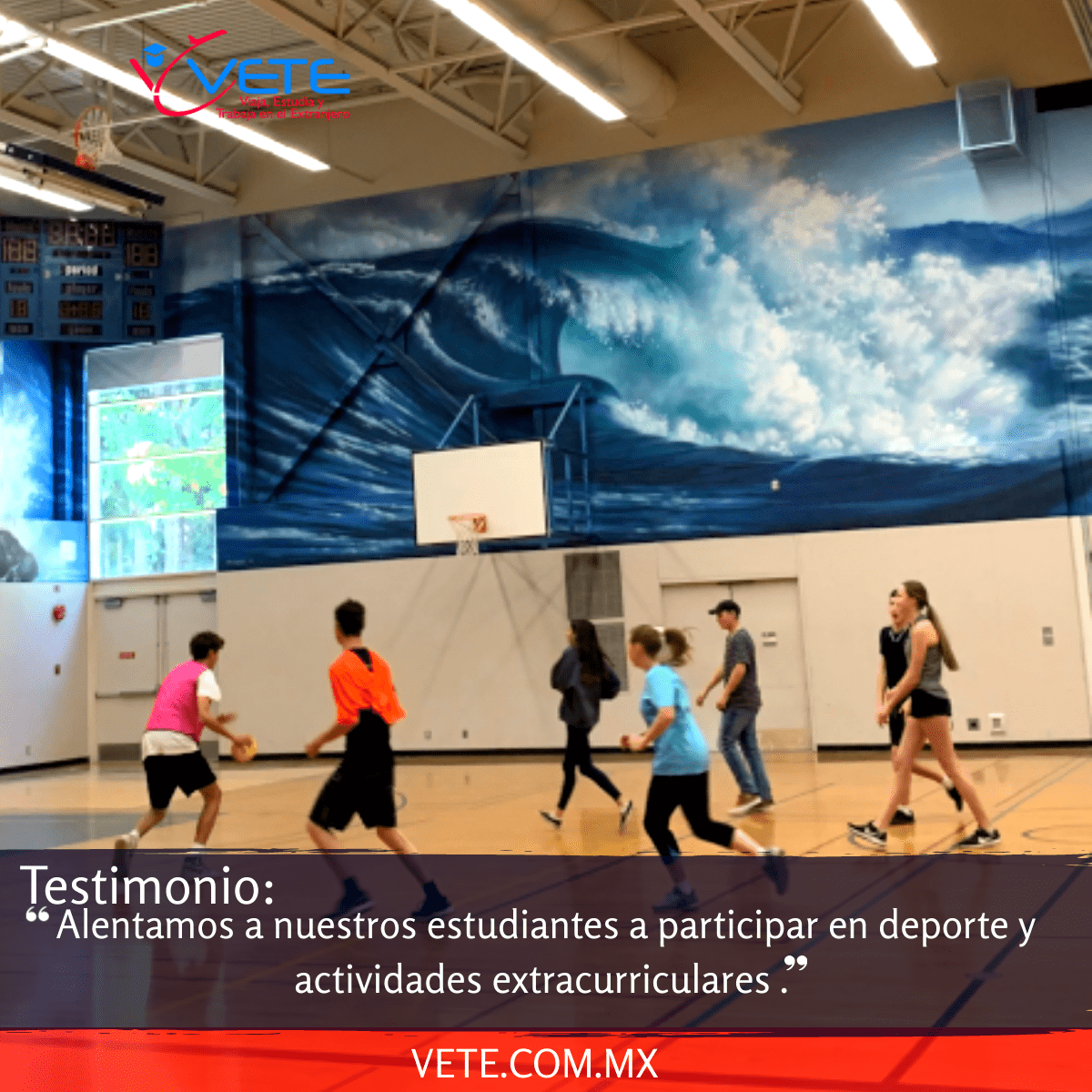 testimonio estudiantes vete education and travel